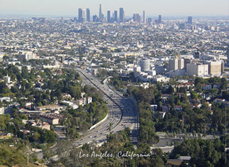 los-angeles-californiaday.jpg